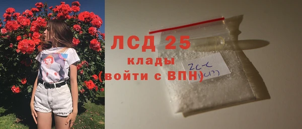 гашик Надым