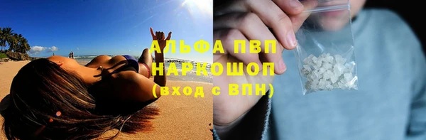 гашик Надым