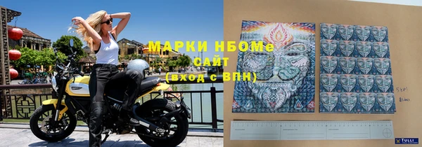 гашик Надым