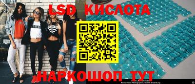 гидропоника Гусь-Хрустальный