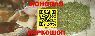 гидропоника Гусь-Хрустальный