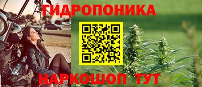 гидропоника Гусь-Хрустальный