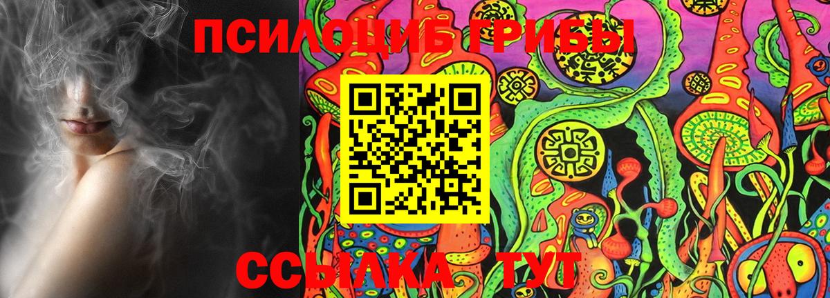 Псилоцибиновые грибы Magic Shrooms  даркнет сайт  Котлас  Вход с VPN 