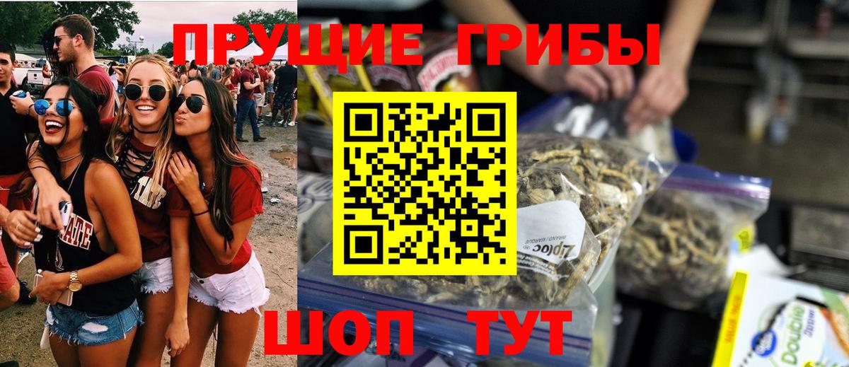 Галлюциногенные грибы Psilocybe Котлас