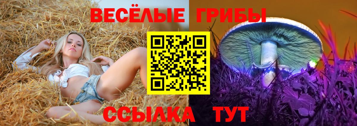 Псилоцибиновые грибы GOLDEN TEACHER  Котлас  Галлюциногенные грибы ЛСД 