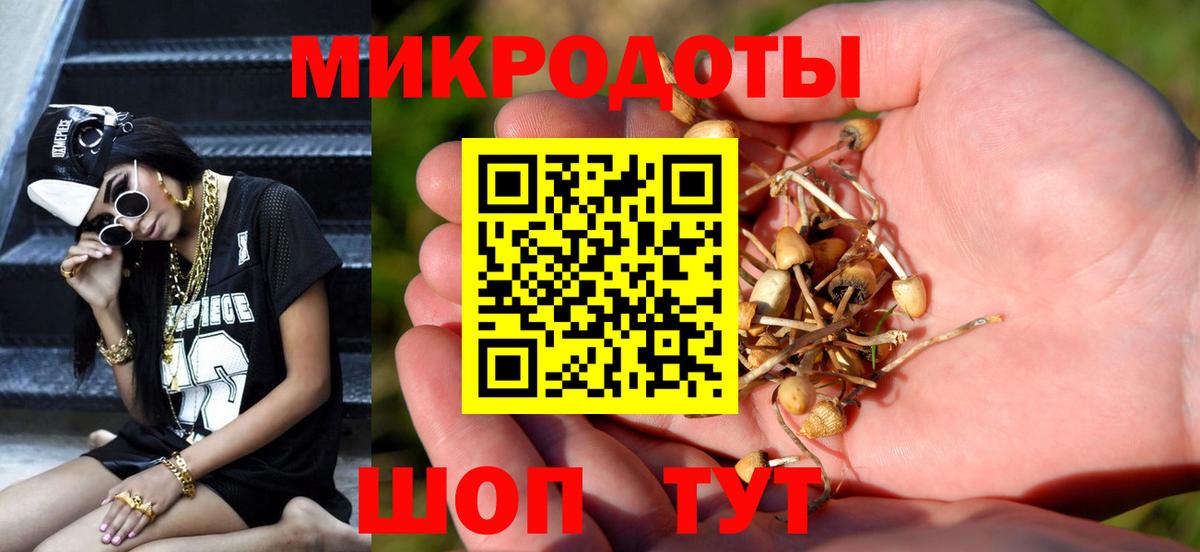 Галлюциногенные грибы GOLDEN TEACHER Котлас