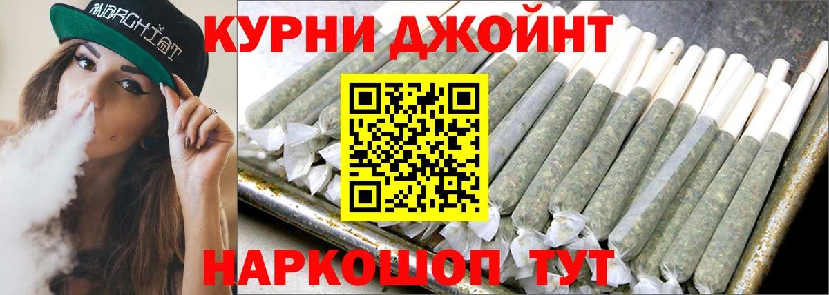 Бошки Шишки планчик Котлас