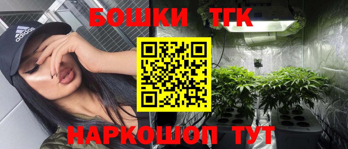 APVP Котлас